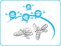 Отрицательные аэроионы способствуют исчезновению комаров и москитов